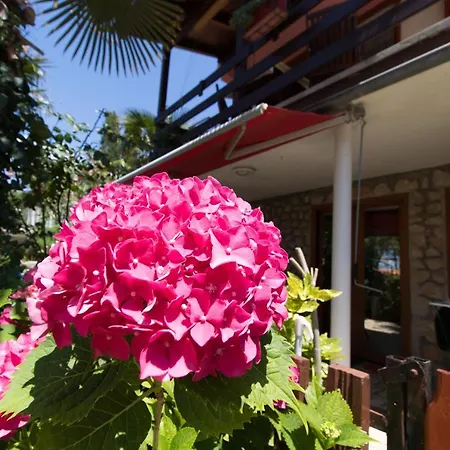 Paulina Appartement Cres