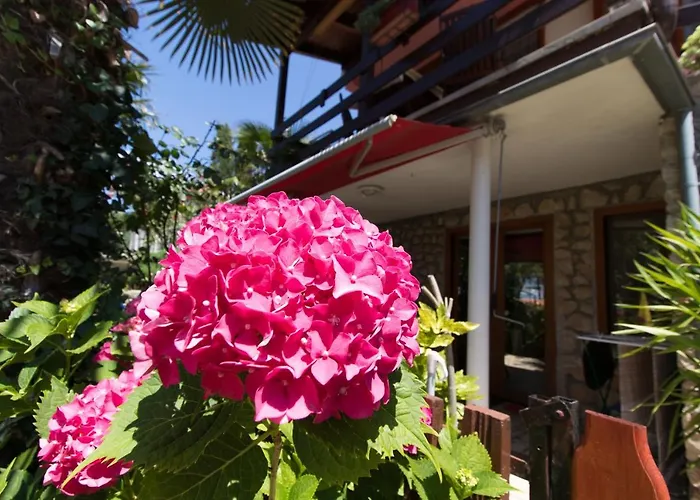 Paulina דירה קרס